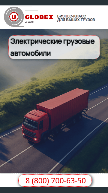 Виды поставок с электрическими авто